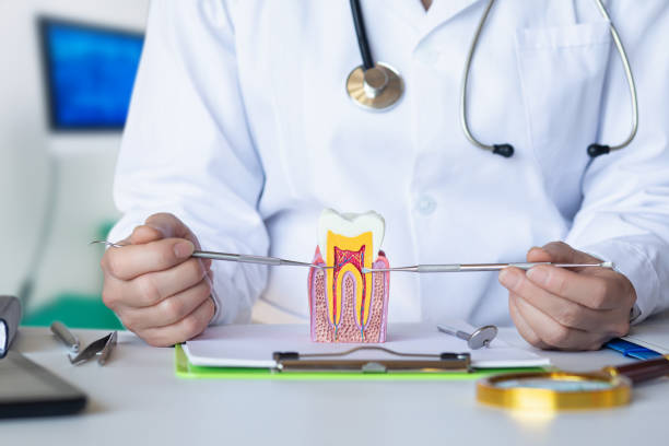 Best Emergency Dental Care for Abscessed Tooth in Lake Barcroft, VA